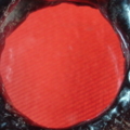 DSC05445