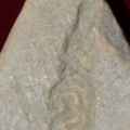 DSC 0524.1