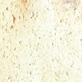 100 4829.1