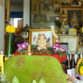 นางพิม ผงไม้ตะเคียนทอง