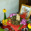นางพิม ผงไม้ตะเคียนทอง