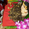 นางพิม ผงไม้ตะเคียนทอง