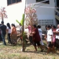 2012 11 11 12.05.19