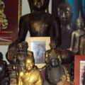 DSC03337