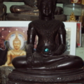 DSC03340