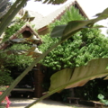 DSC04635