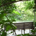 DSC04576