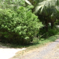 DSC04639