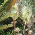 DSC04641