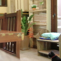 DSC04652