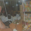 DSC0991442