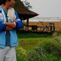 เชียงใหม่