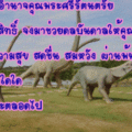 สคส ไฮฟลายเยอร์