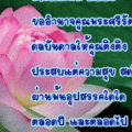 ส ค ส ครูติงติง