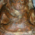 1 DSCN1765