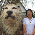 2.6 ภูสูง 097