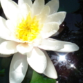 DSC04700