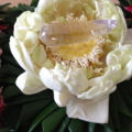 IMG 0177 resize