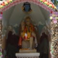 DSC00366