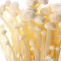 Enoki