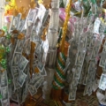 ผ้าป่า 112ล้านกีบ