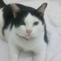Photo 0030