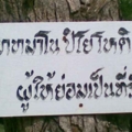 ภาพ008
