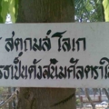 ภาพ010