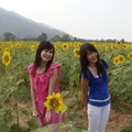 DSC001899
