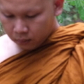 DSCF8447