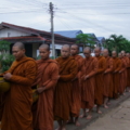DSCF8913