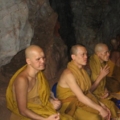 IMG 0238