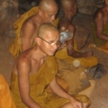 IMG 0240