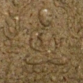 IMGP6321