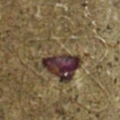 IMGP6322
