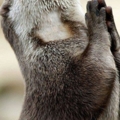 สวัสดีคร้าบบบบ...มีขนมให้ผมหม่ำบ้างไหมคร้าบบบบ