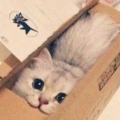 จุ๊ ๆ อย่าบอกใครว่าผมแอบอยู่ตรงนี้ ^^