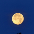 2013 Jun 25 34