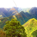 2013 Jun 25 09