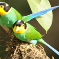 2013 Jun 25 11
