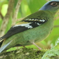 2013 Jun 25 15