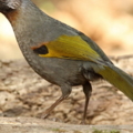 2013 Jun 25 20