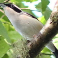2013 Jun 25 25