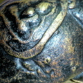 DSCN2489