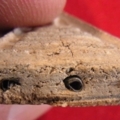 R0010923