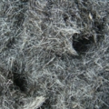 m009