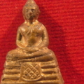 R0011231 resize