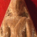 R0011239 resize