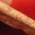 R0011241 resize