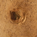 R0011248 resize